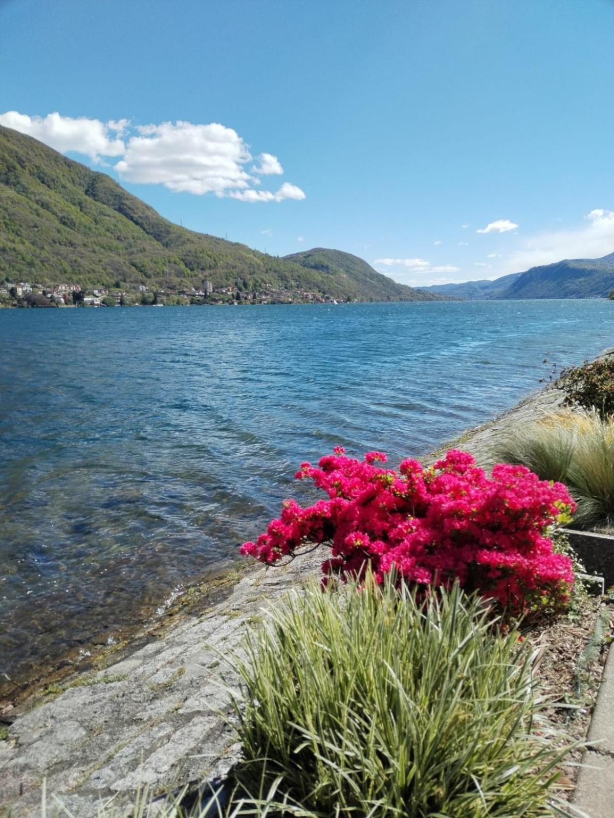Un Balcone Sul Lago Omegna Exterior foto